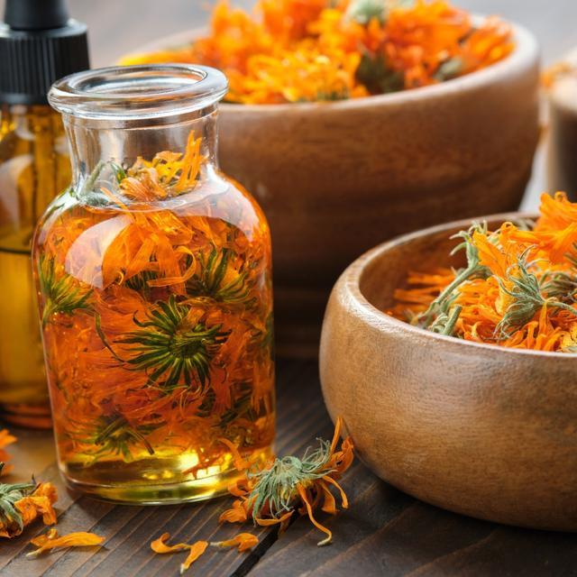 Image for Use of Herbs and Plants